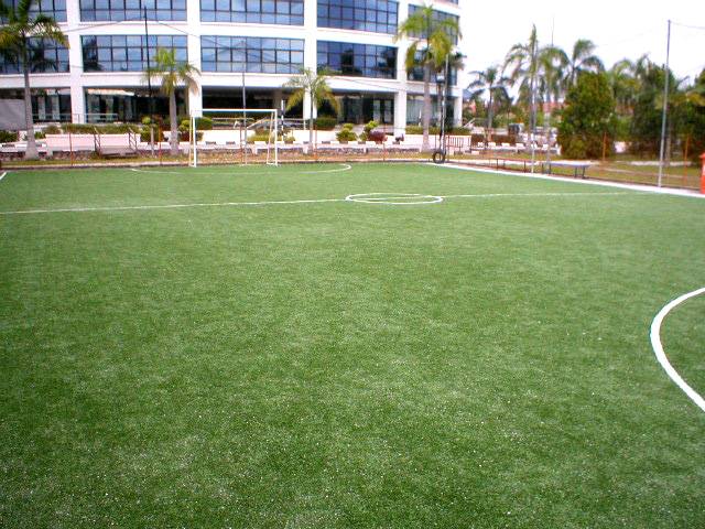 Open Space FutsalRia in Bangi, with PKNS building