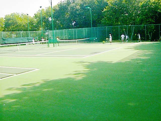 bukit jambul country club hard courts