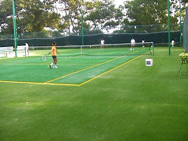 bukit jambul country club synthetic grass courts