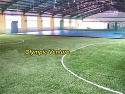 Frenzy Futsal's 3 futsal courts using synthetic turf