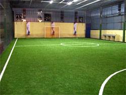 synthetic turf futsal court in batu maung, penang