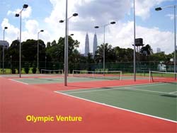 Repaired and resurfaced 3 tennis courts using Plexipave Tennis coating