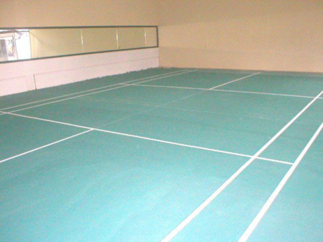 badminton court for a sporting house