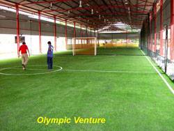 Frenzy Futsal's 5 futsal courts