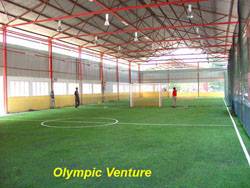 Frenzy Futsal's futsal courts using synthetic turf