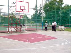 intel's basketball court with post