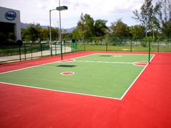 Another view of Penang Intel's Sepak Takraw Court